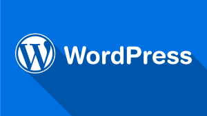 Développement sous Wordpress